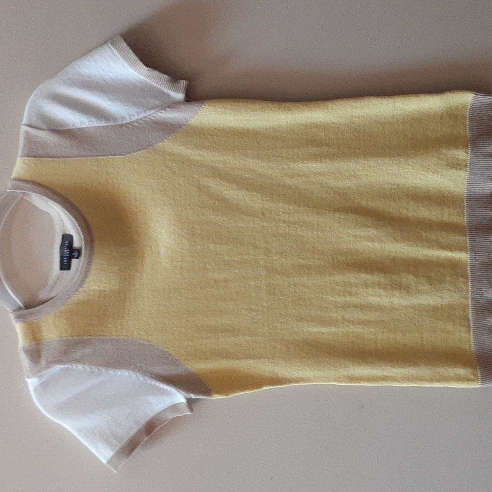 The Limited sweater top